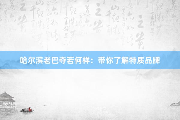 哈尔滨老巴夺若何样：带你了解特质品牌